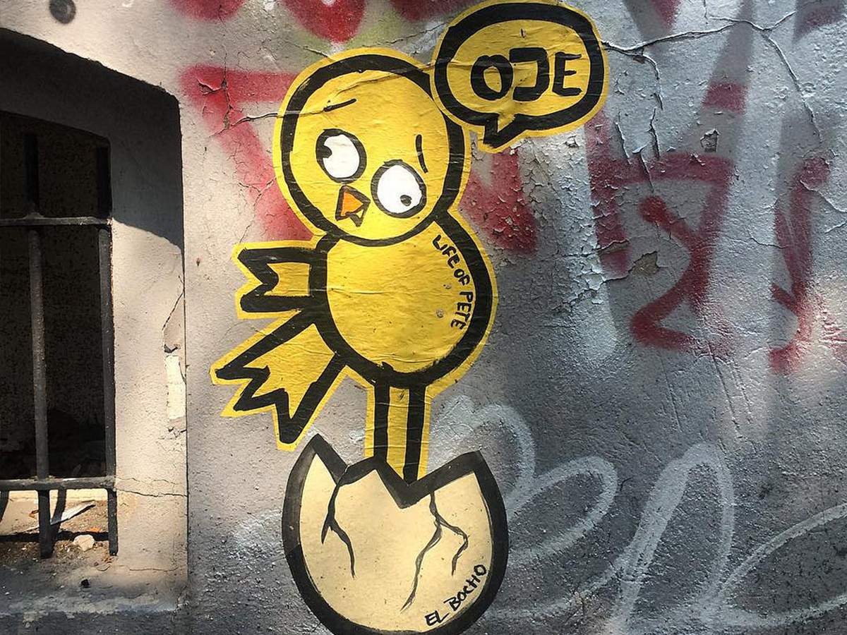 el bocho