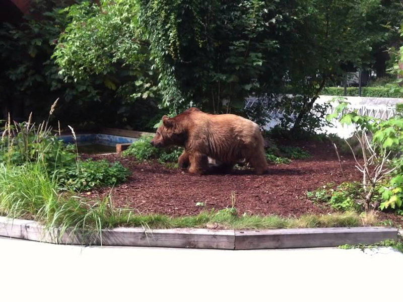 travel to berlin, do the Berlin museum tours